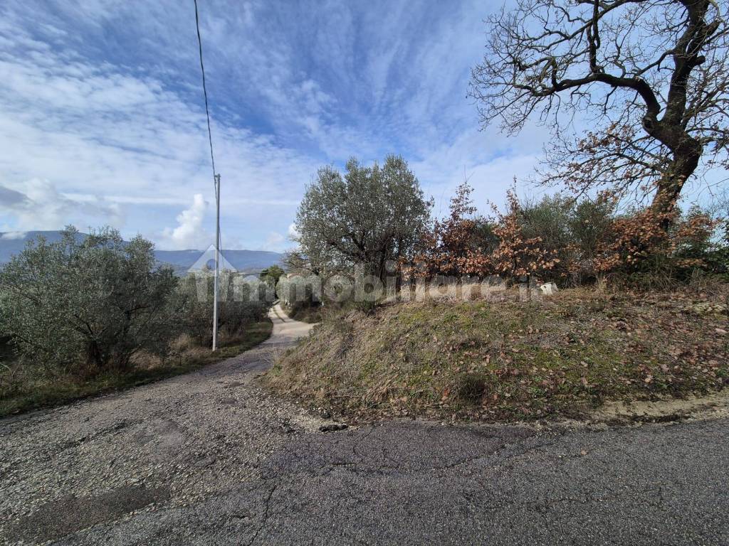 Terreno