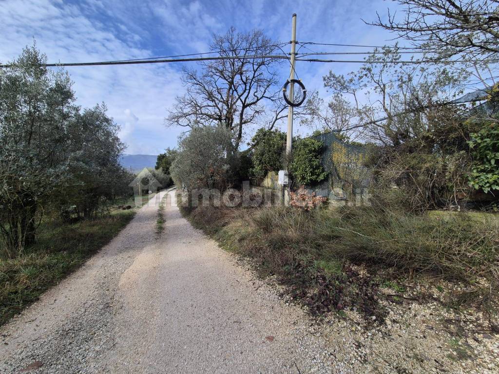 Terreno