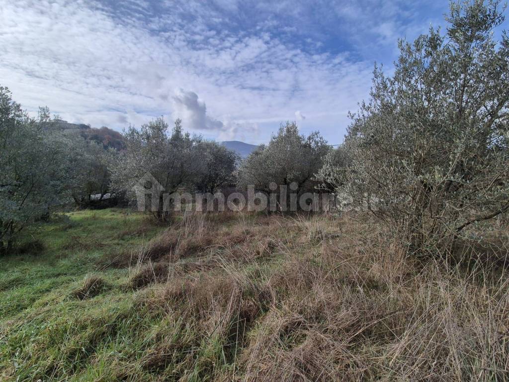 Terreno