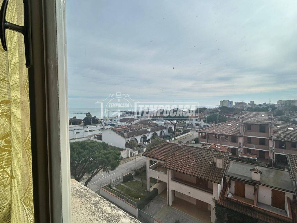 Vista