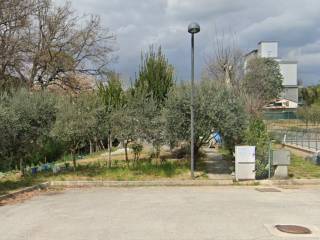 Zona