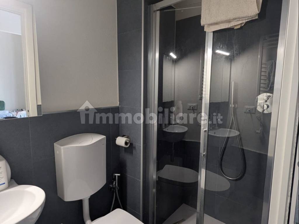 Stanza singola in Nizza Millefonti, foto 14 di 15