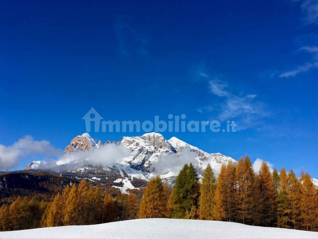 Vista