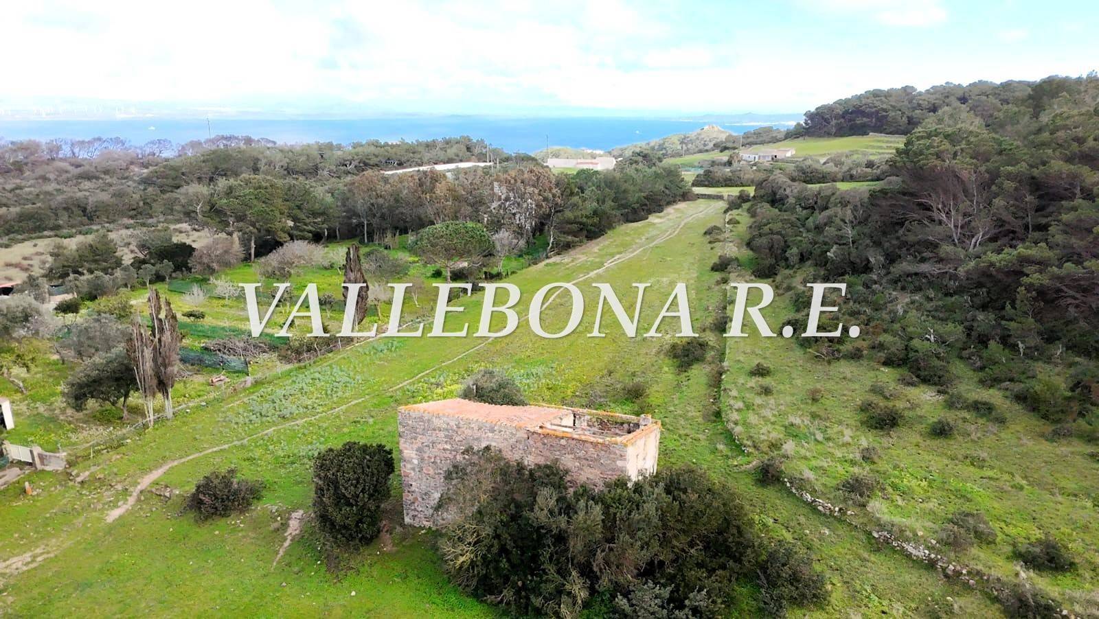 Rustico - Casale in vendita a Carloforte