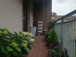 3-room flat via Giovanni Ongaro 6, Borgo Roma, Verona