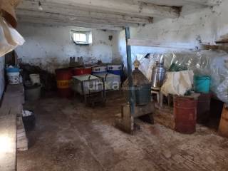 Cantina