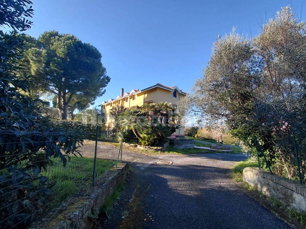 Terreno