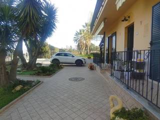 Zona