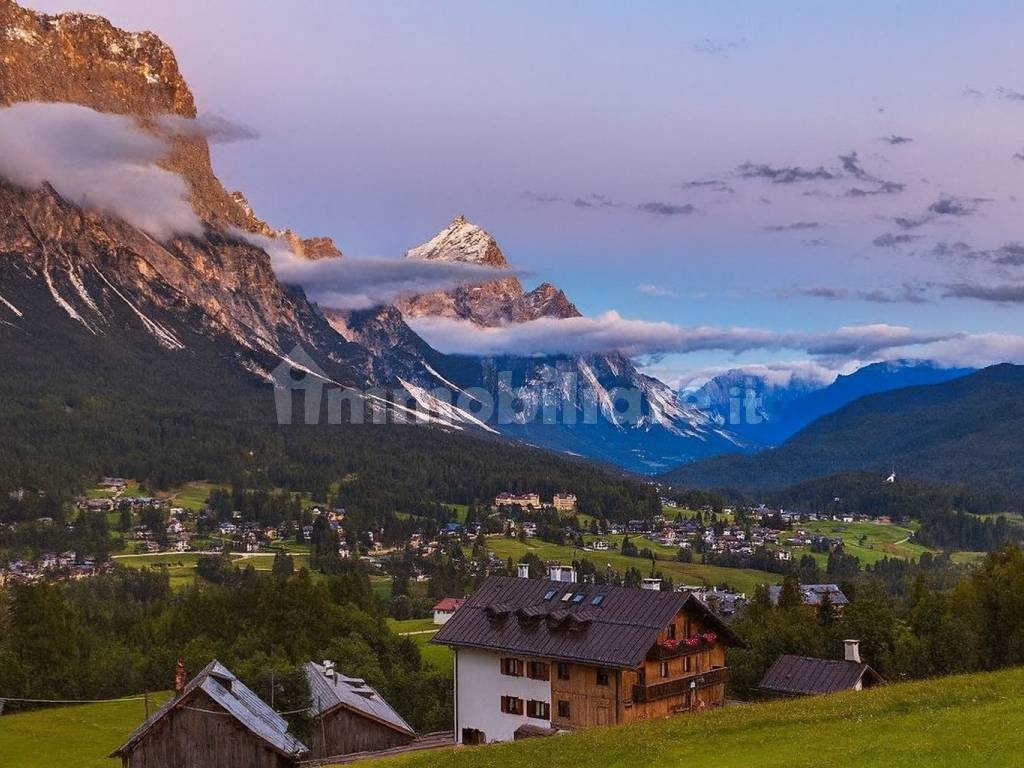 Vista