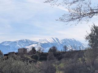 Vista