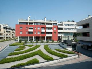 Zona