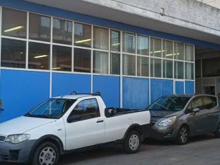 Zona