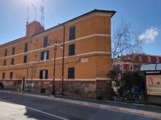 Zona