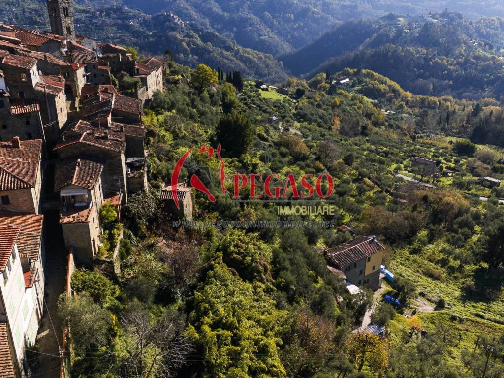Vista