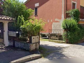 Zona