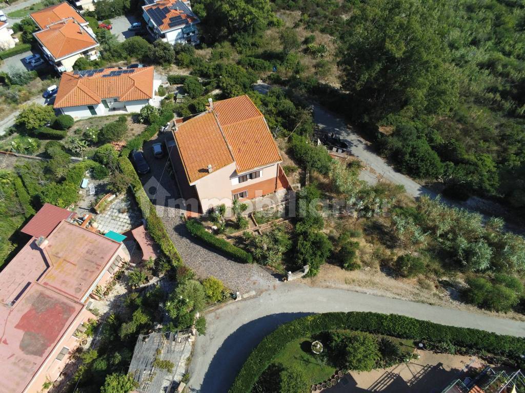 Vista