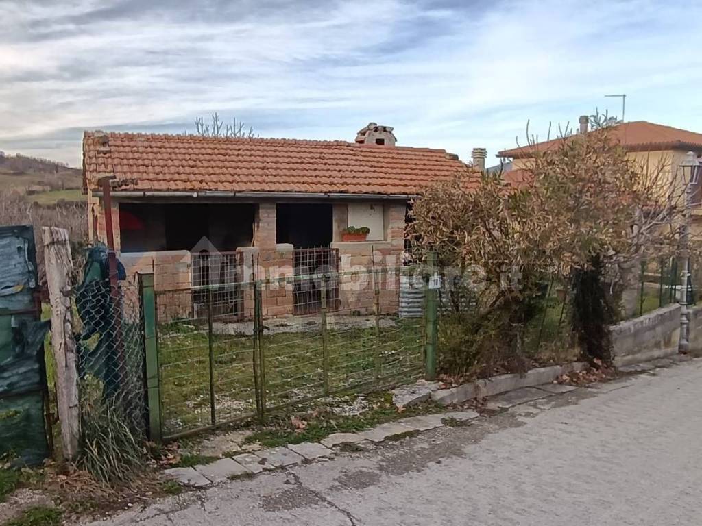 Zona