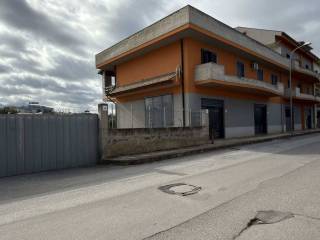 Zona