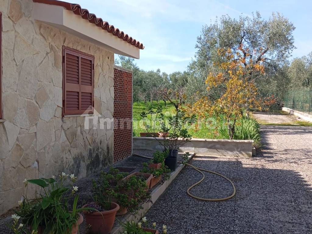 Giardino