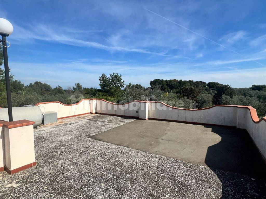 Terrazzo