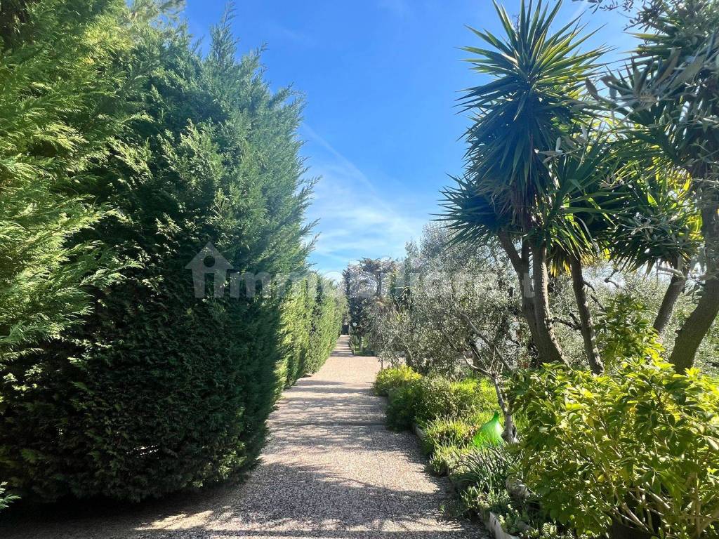 Giardino