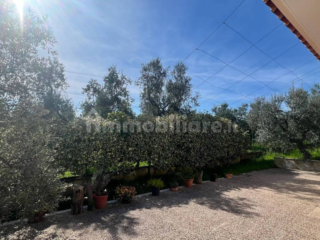 Giardino