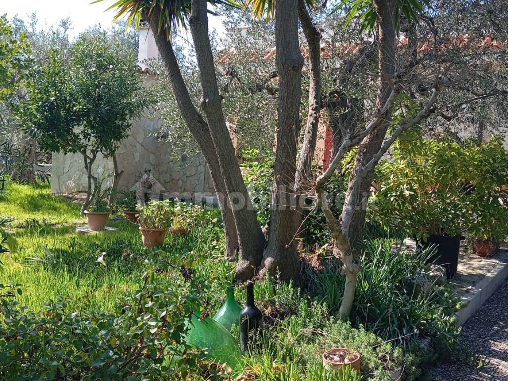 Giardino