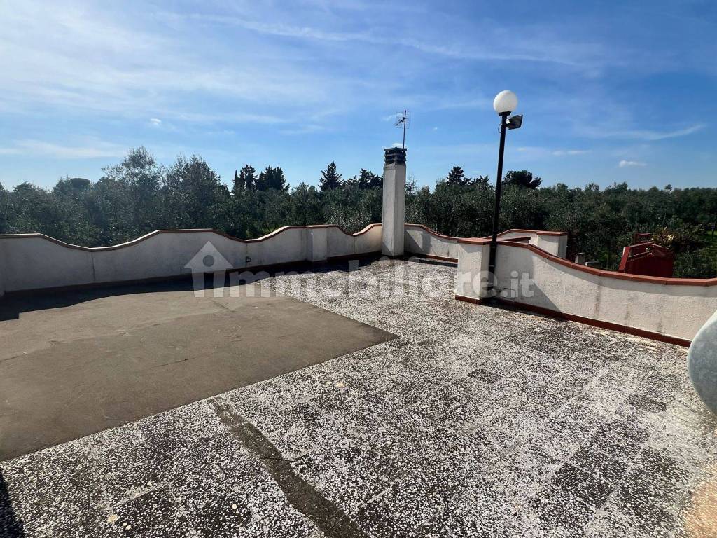 Terrazzo