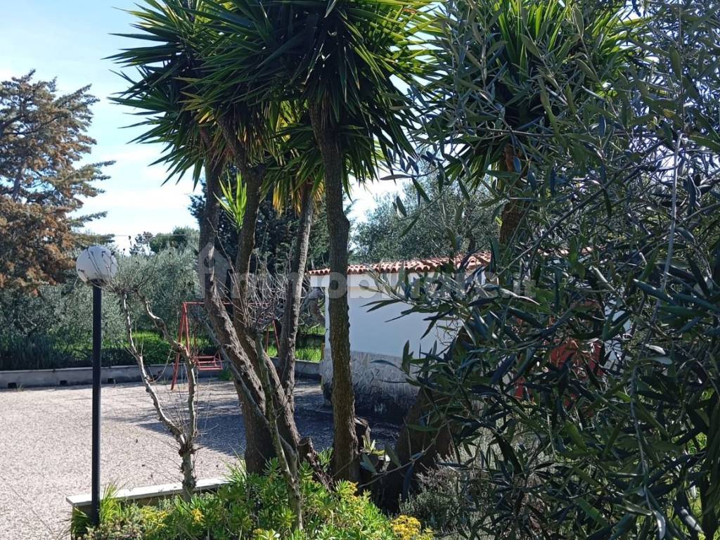 Giardino