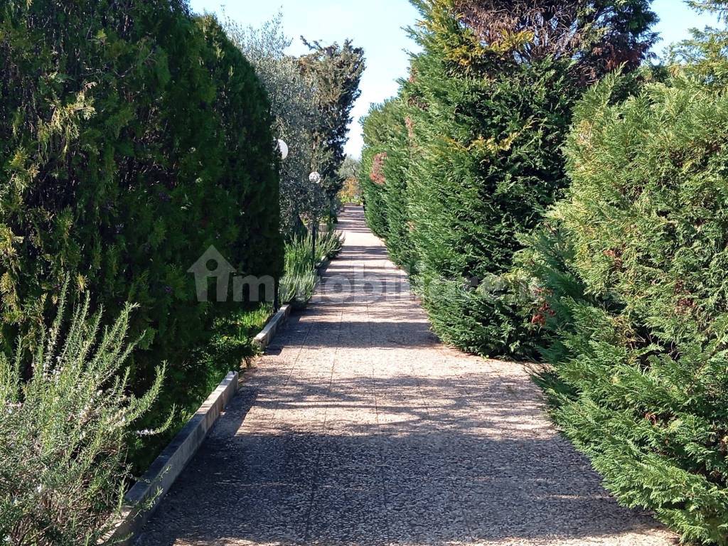 Giardino