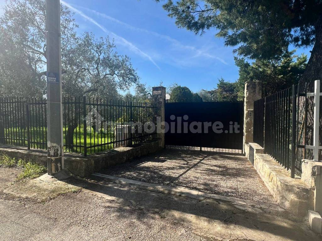 Giardino