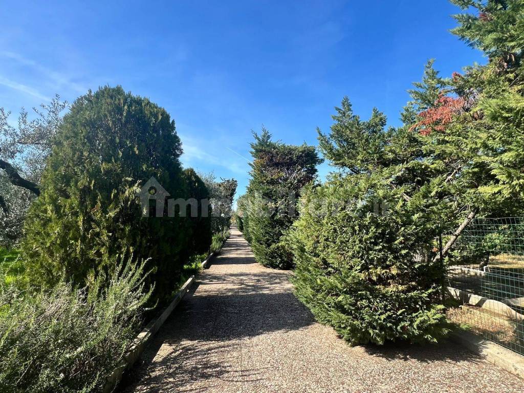 Giardino