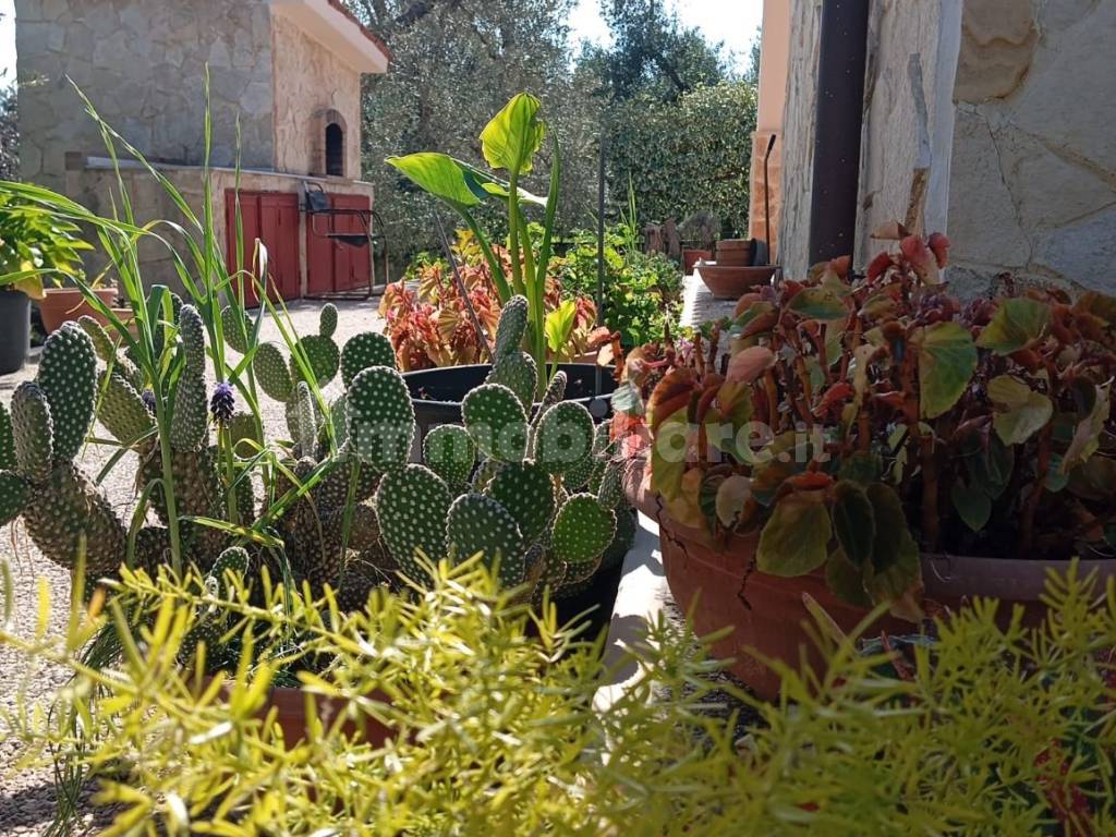 Giardino
