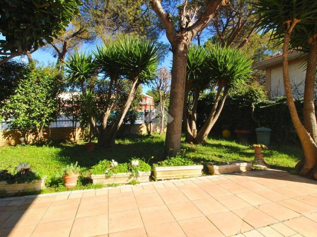 Giardino