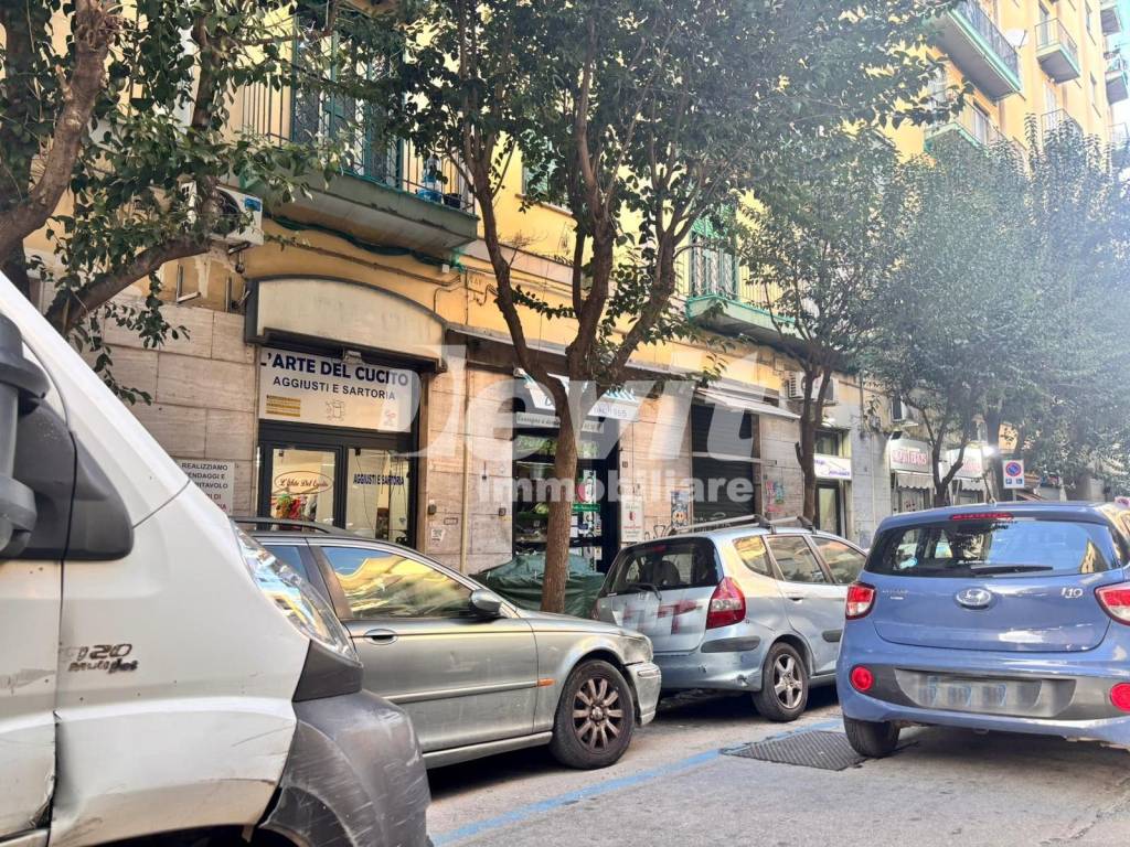 Zona
