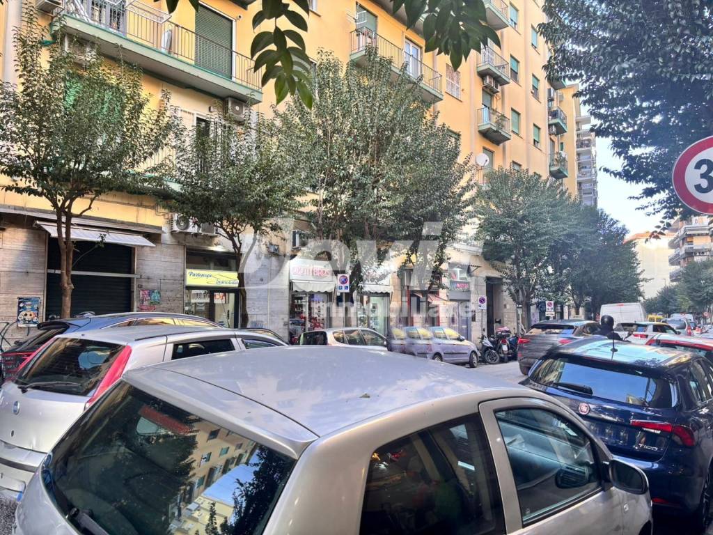 Zona