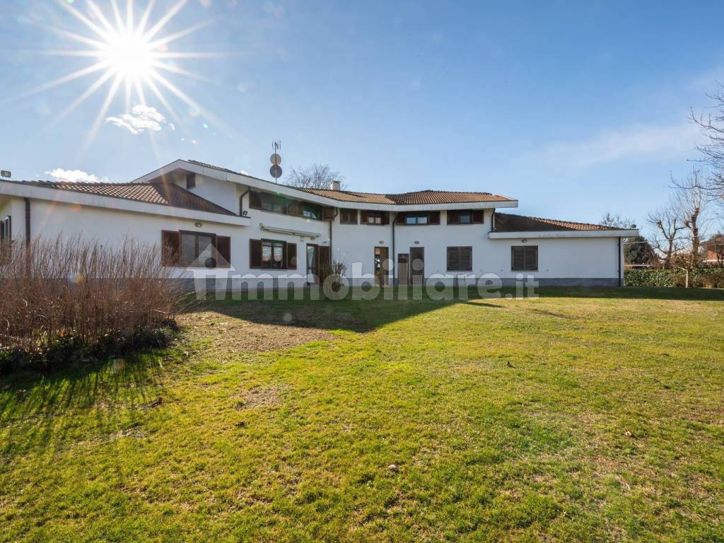 Vista