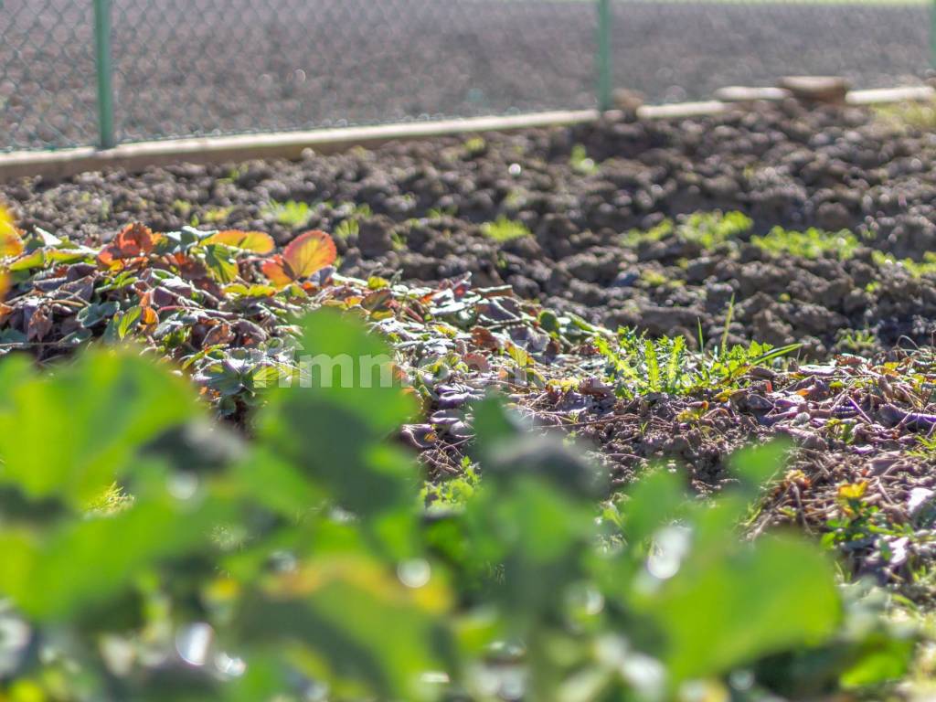 Terreno