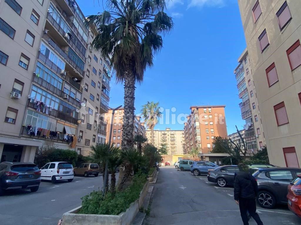 Zona