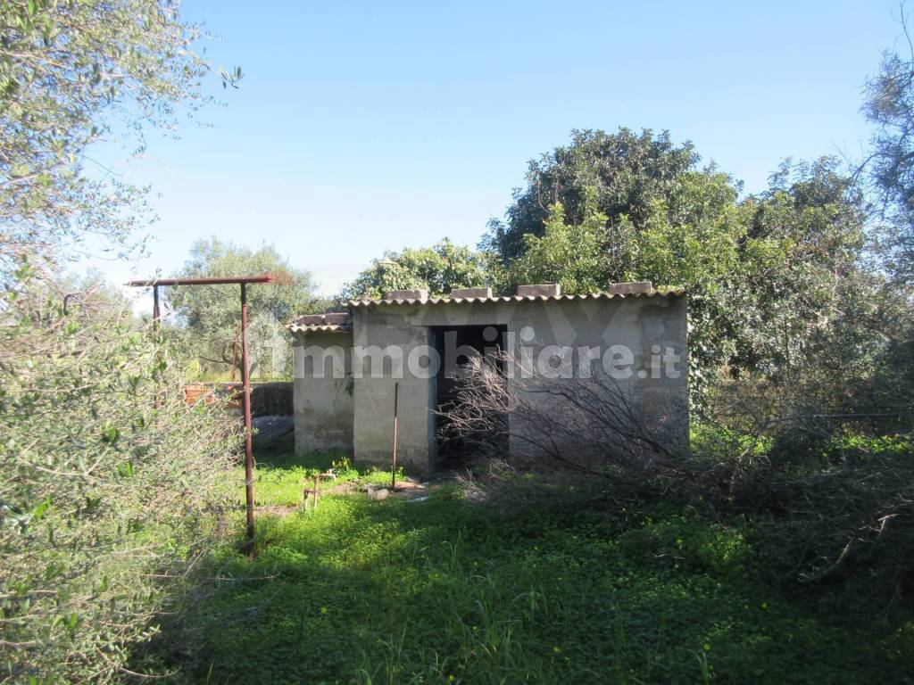 Terreno