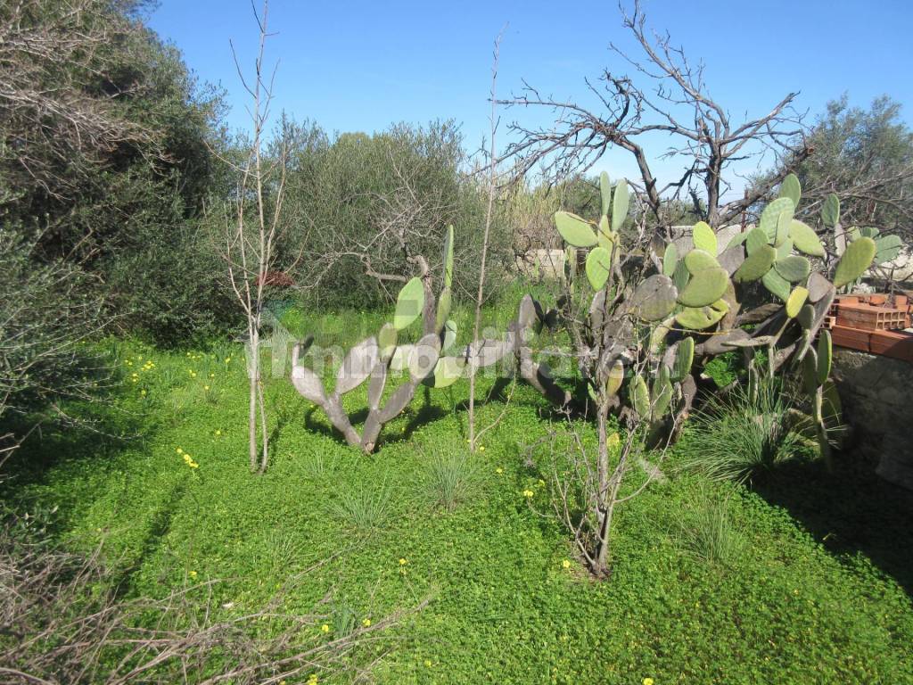 Terreno