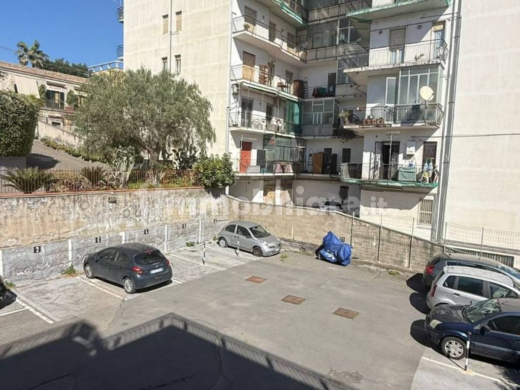 Vista