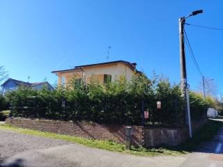 Zona
