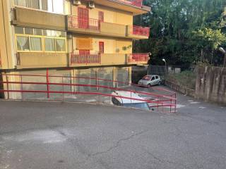Zona
