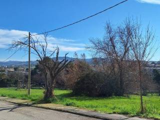 Zona