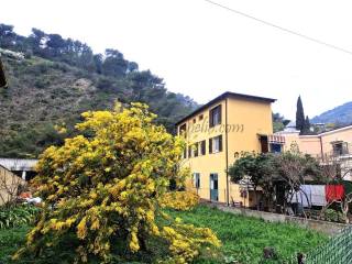 Zona