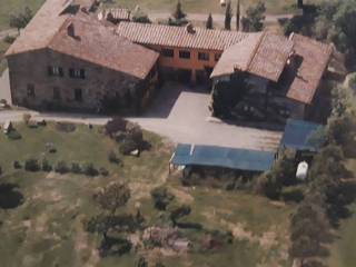 Zona