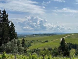Vista