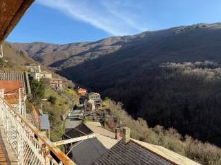 Vista