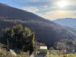 Vista